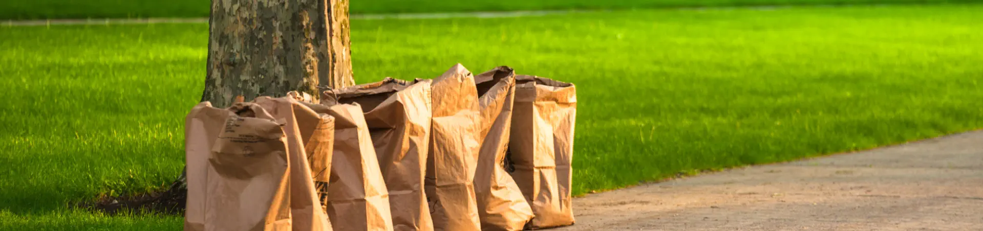 Yard Waste Removal
