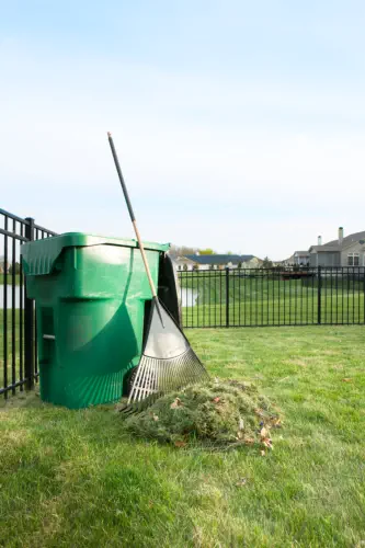 Yard Waste Removal