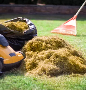 Yard Waste Removal