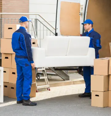 Junk Removal
