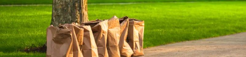 Yard Waste Removal